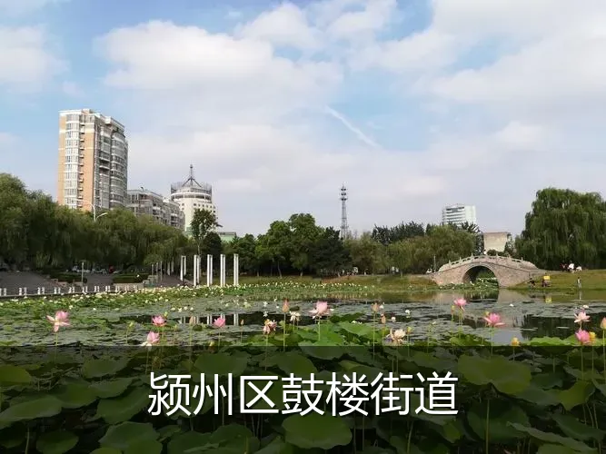 颍州区鼓楼街道
